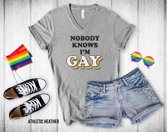 Nobody Knows I'm Gay - Unisex V-Neck Tee