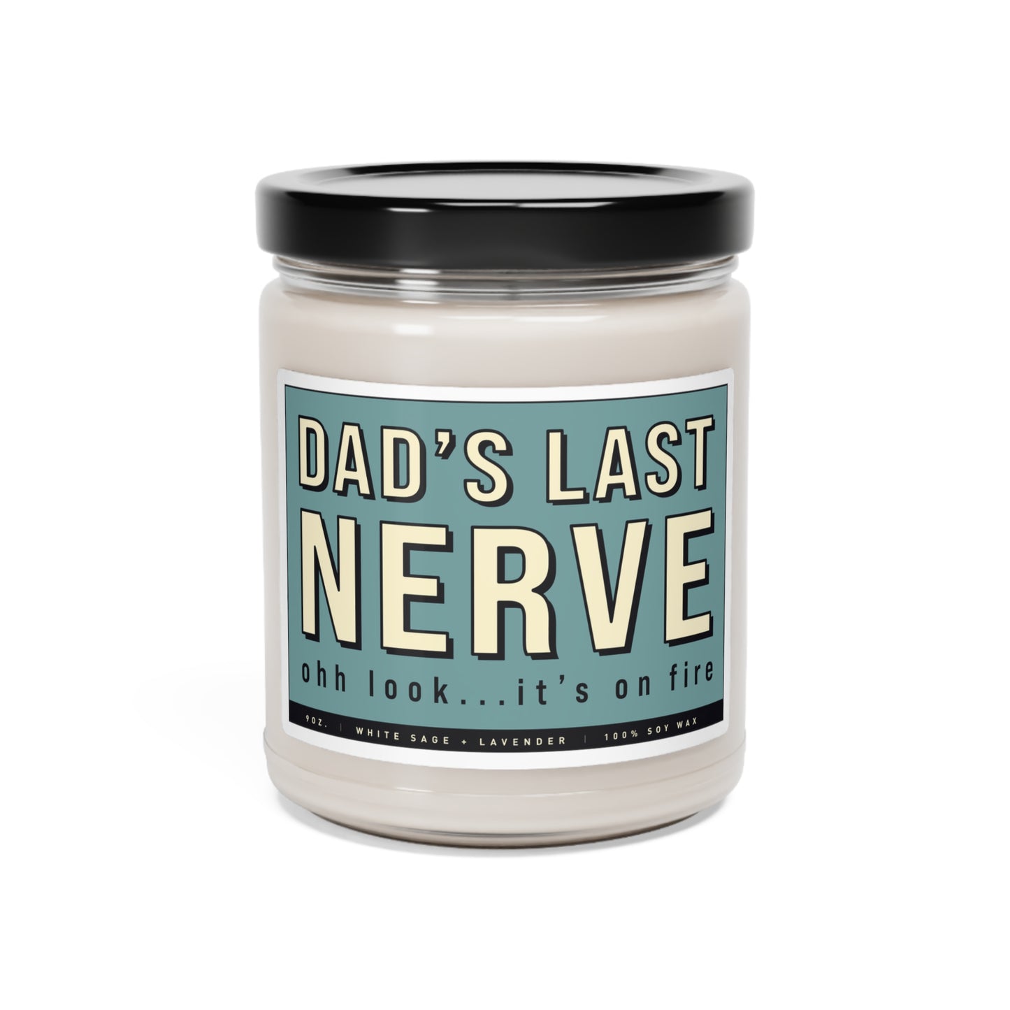 Fathers Day Gift | Funny Candle | Funny Dad Gift | Gift From Kids | Gift From Son | Fathers Day Candle | Dads Birthday