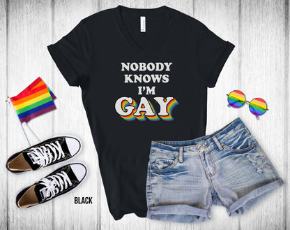 Nobody Knows I'm Gay - Unisex V-Neck Tee